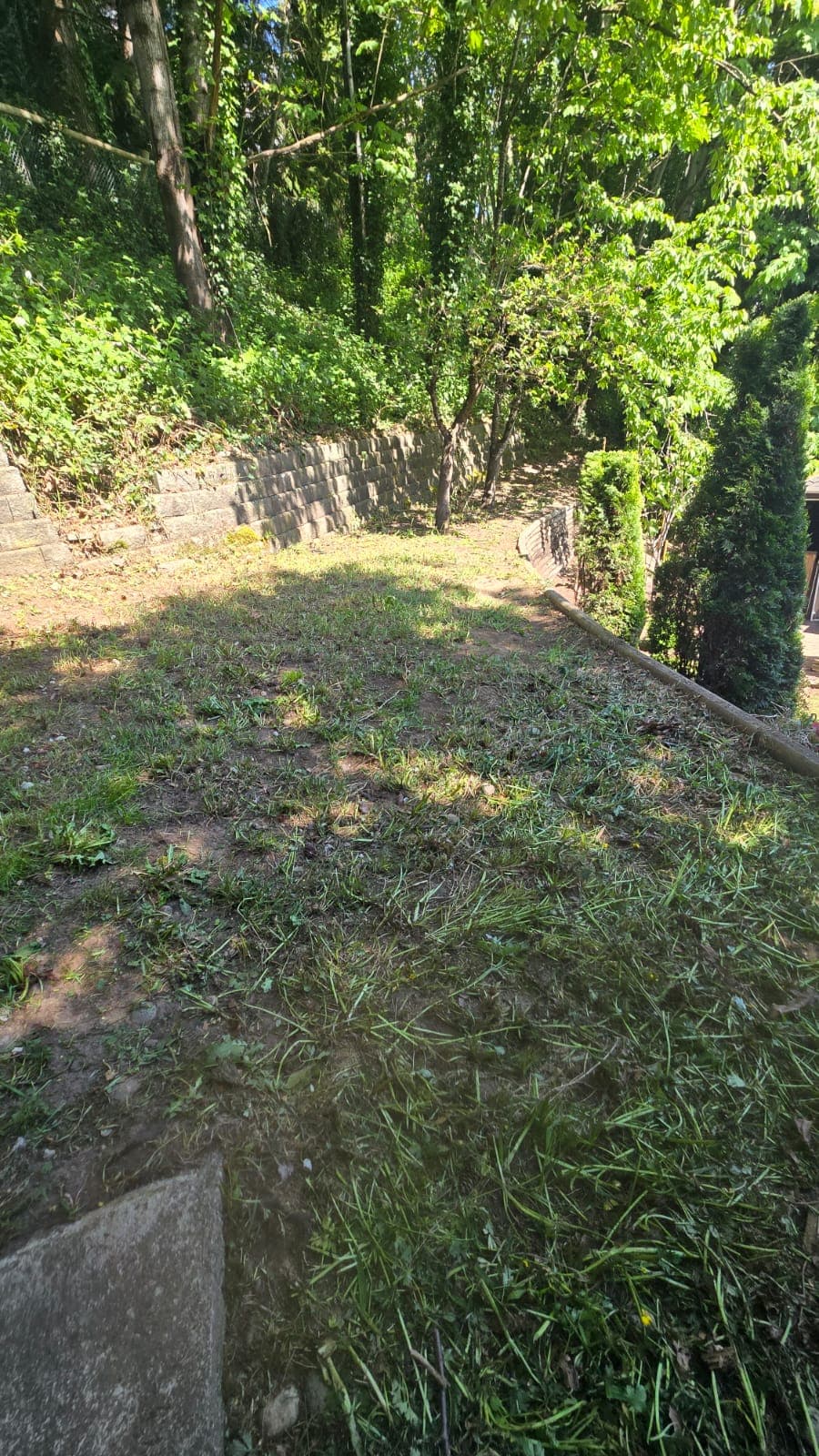 Gutter Cleanup