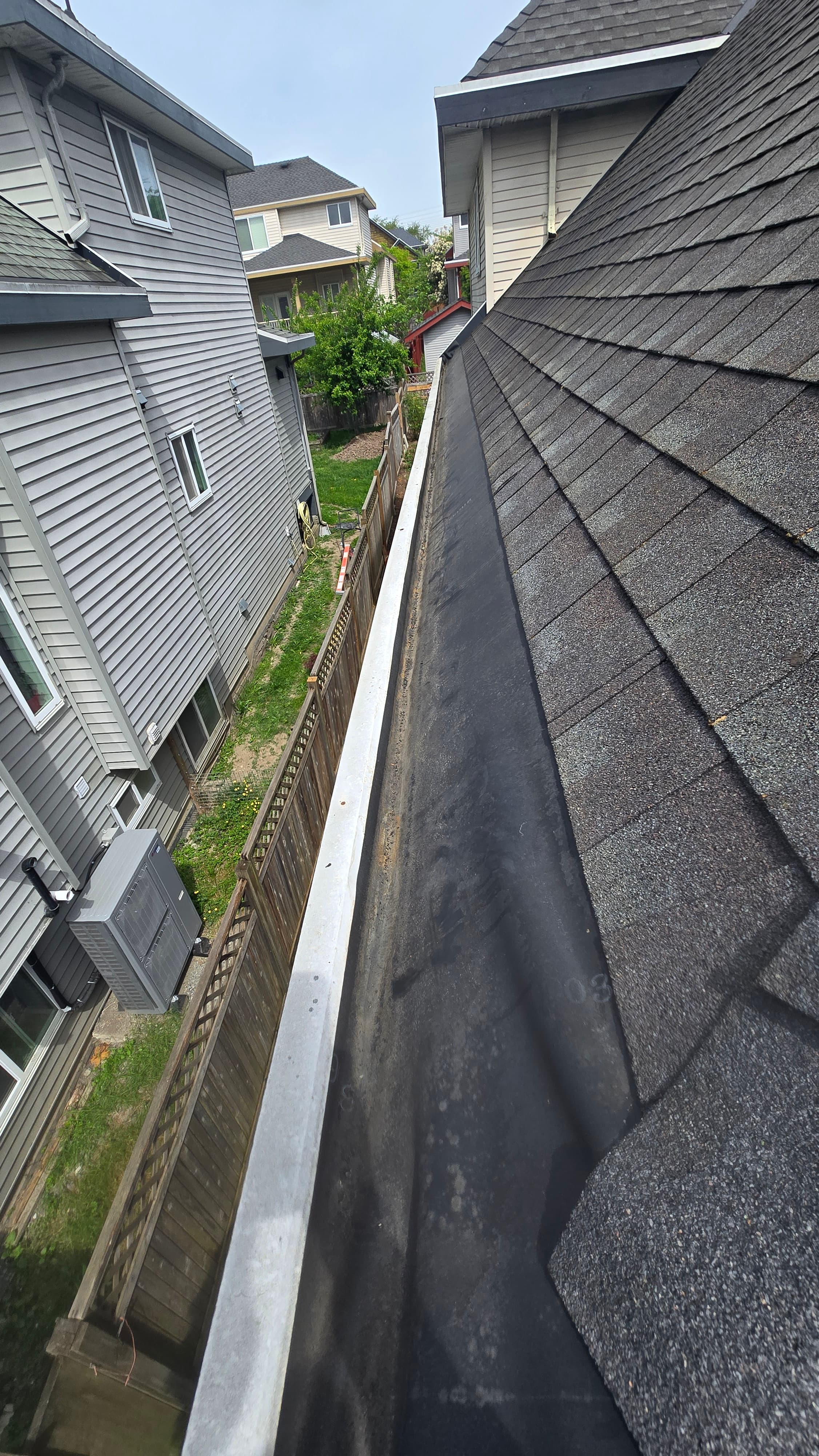 Gutter Cleaning