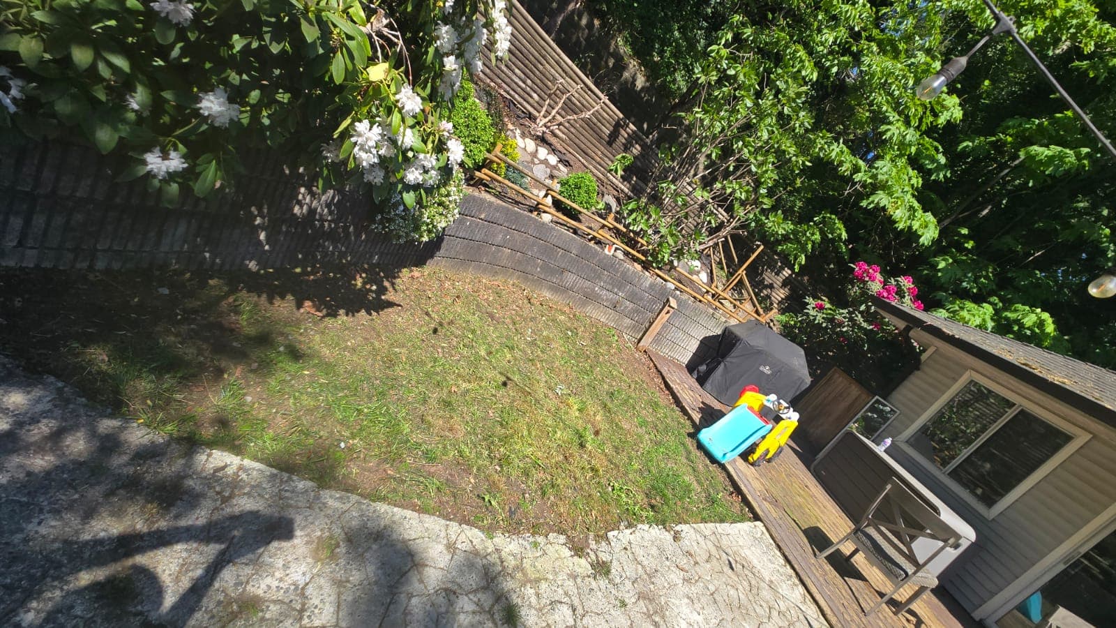 Lawn Maintenance