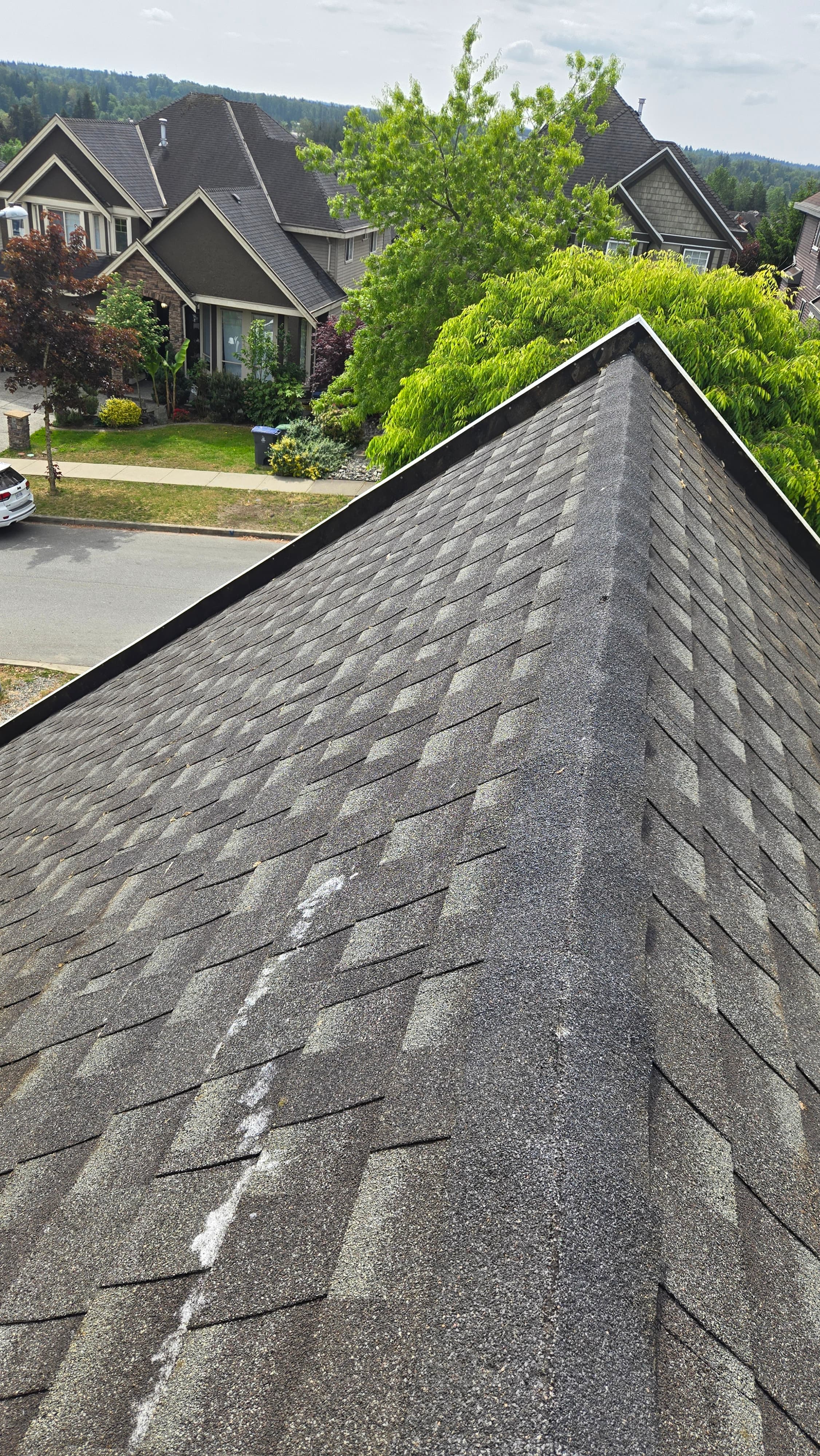 Roof Washing