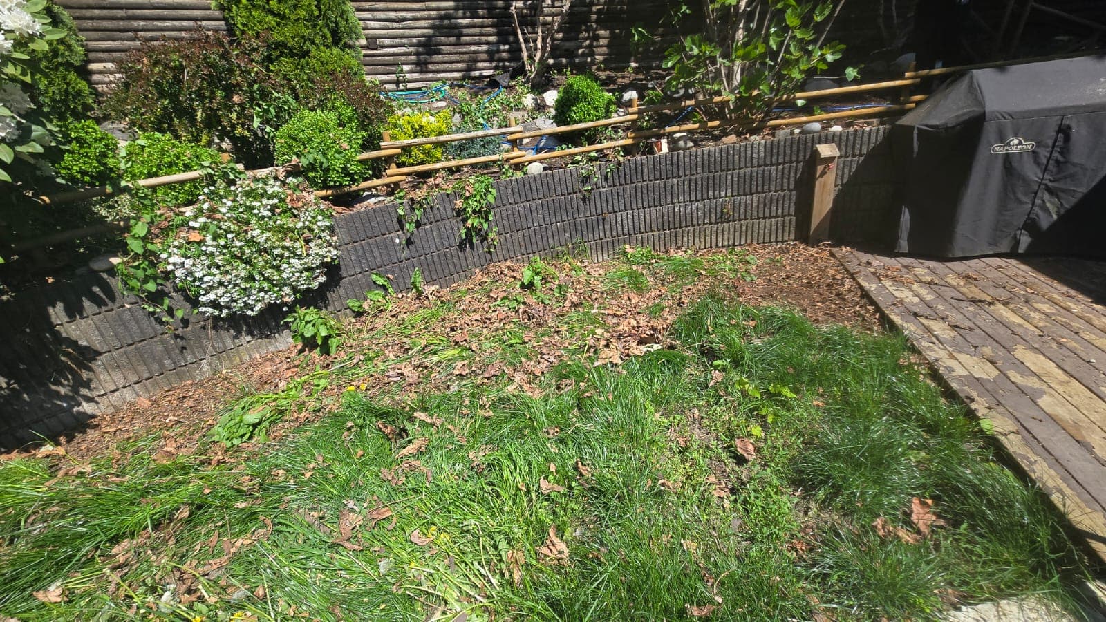 Moss Removal - Walkway & Steps