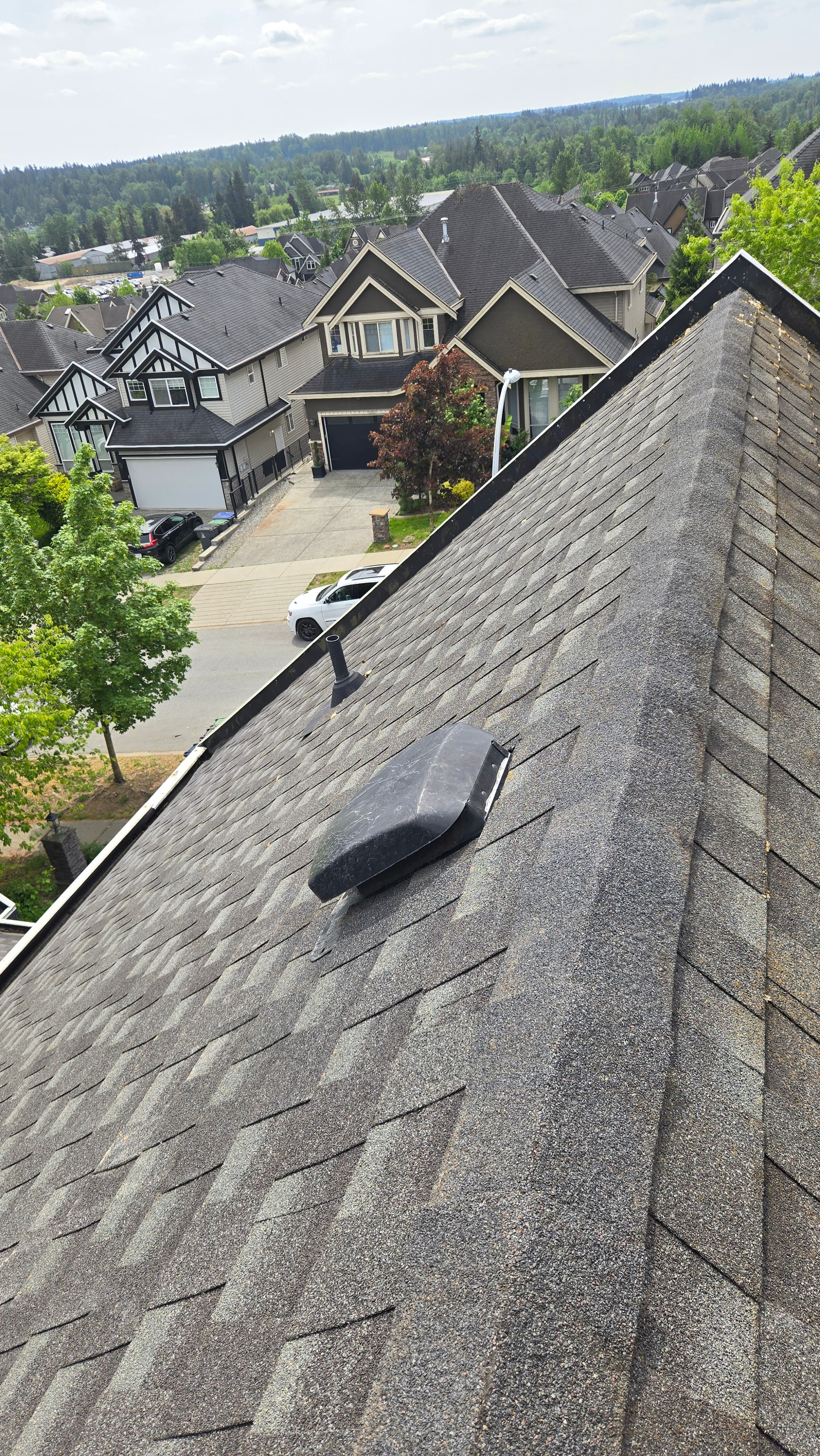 Roof Washing and Streak Removal