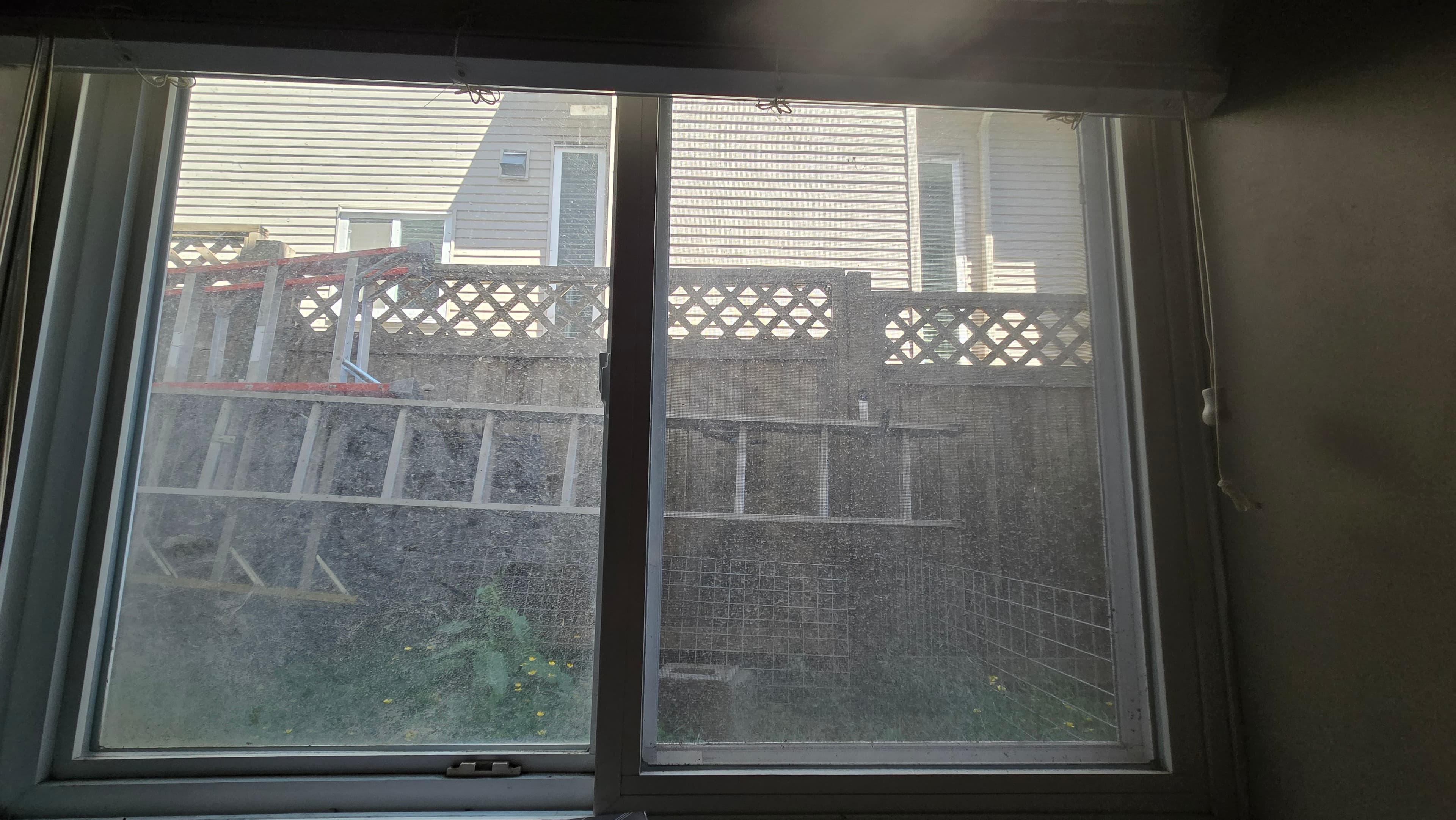 Exterior Window Wash before